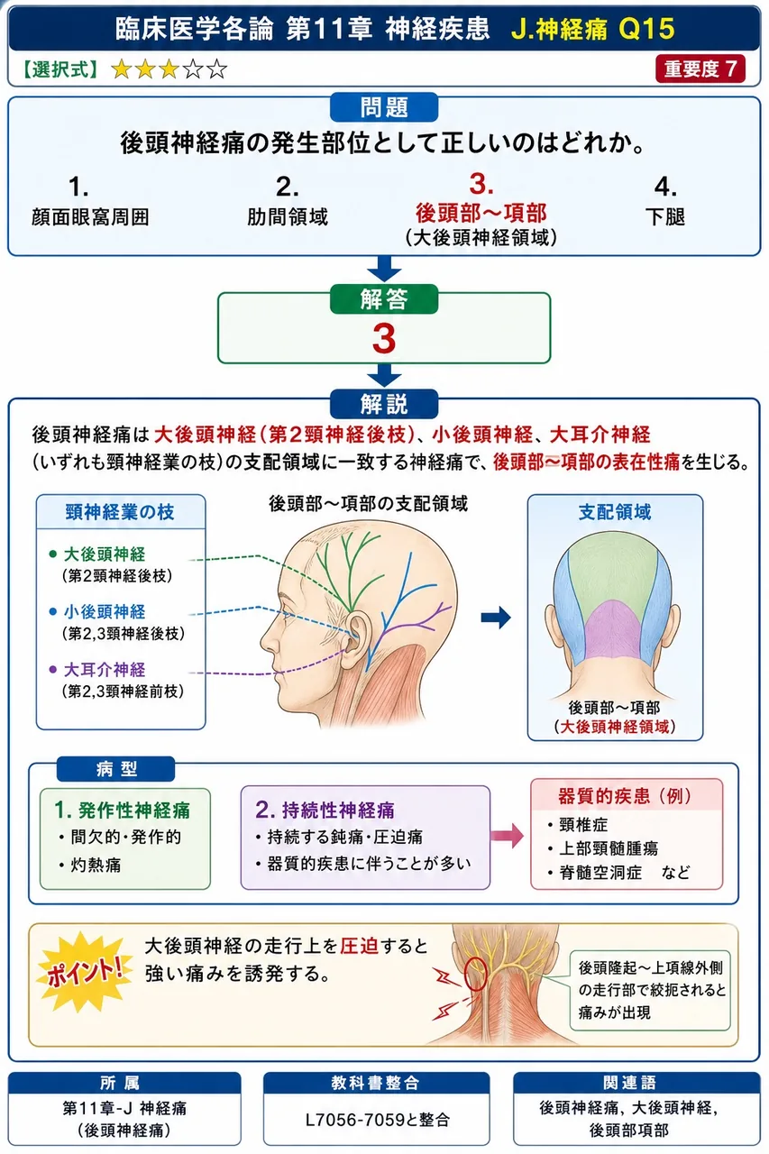 後頭神経痛の発生部位として正しいのはどれか。 解説図
