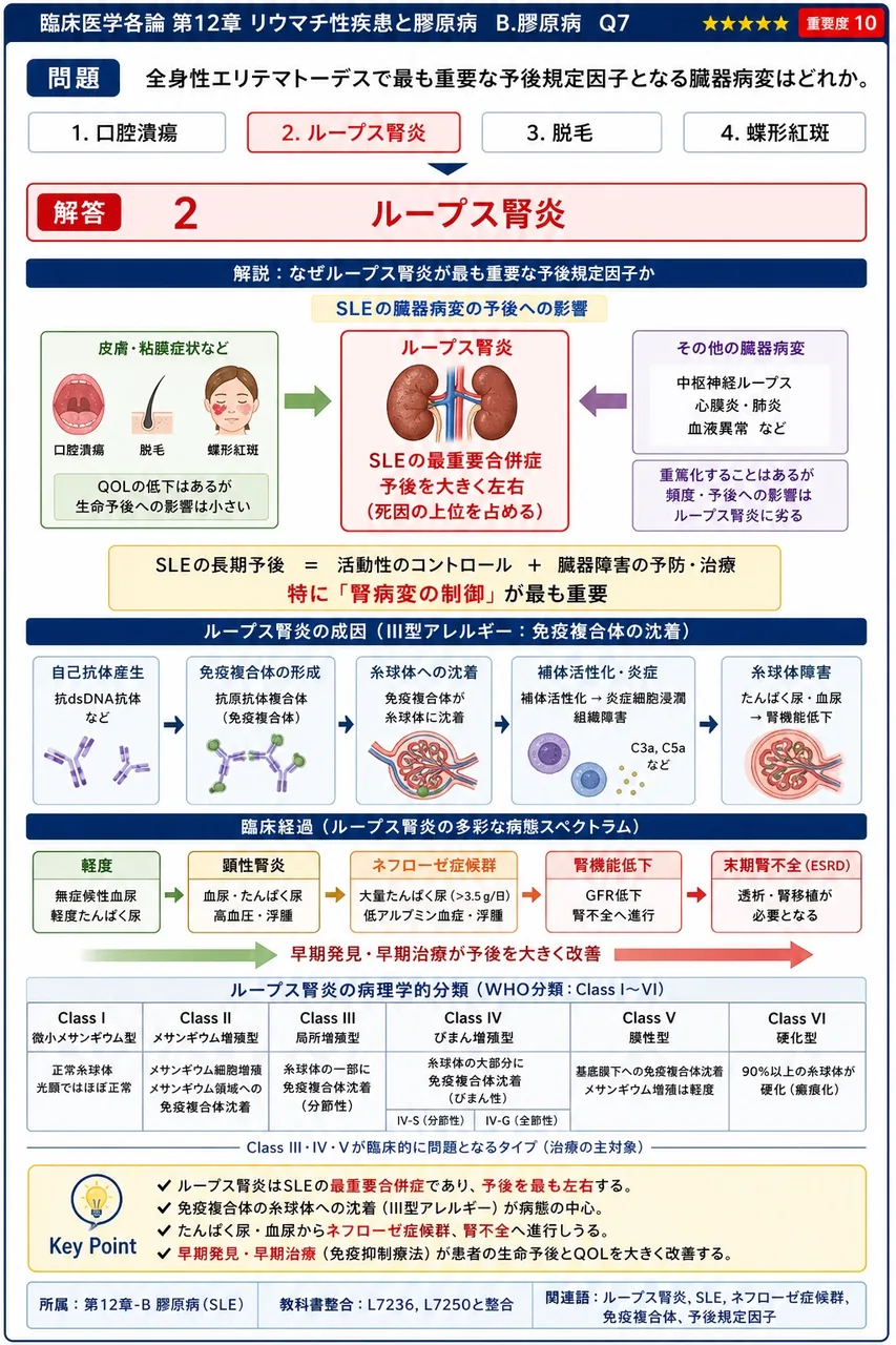 全身性エリテマトーデスで最も重要な予後規定因子となる臓器病変はどれか。 解説図