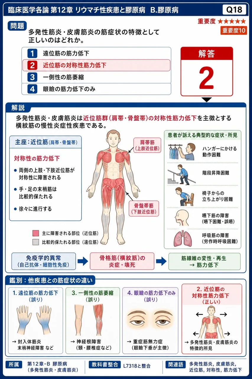 多発性筋炎・皮膚筋炎の筋症状の特徴として正しいのはどれか。 解説図