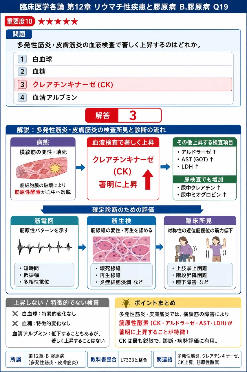 多発性筋炎・皮膚筋炎の血液検査で著しく上昇するのはどれか。 解説図