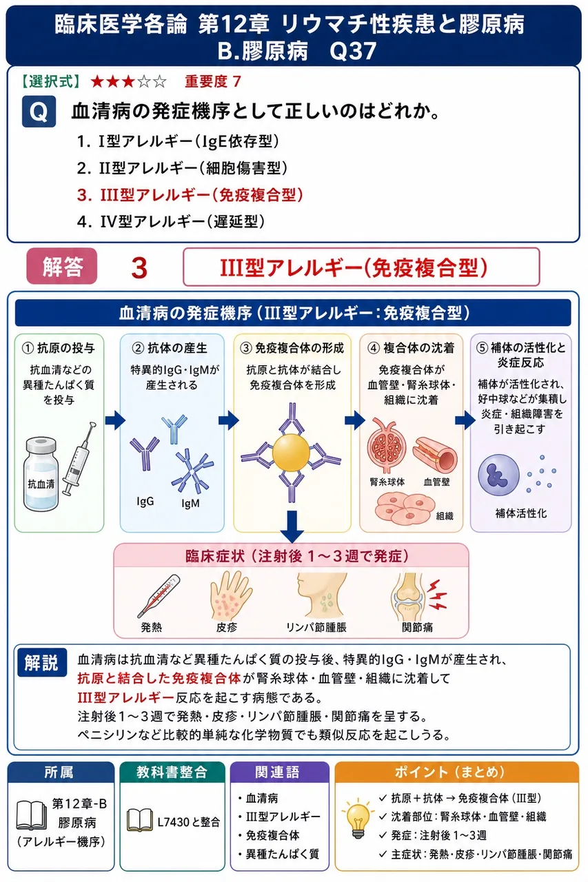 血清病の発症機序として正しいのはどれか。 解説図