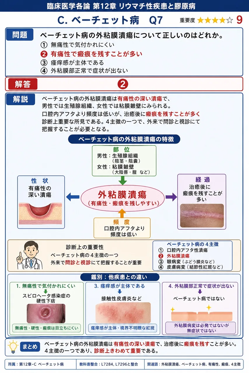 ベーチェット病の外陰部潰瘍について正しいのはどれか。 解説図