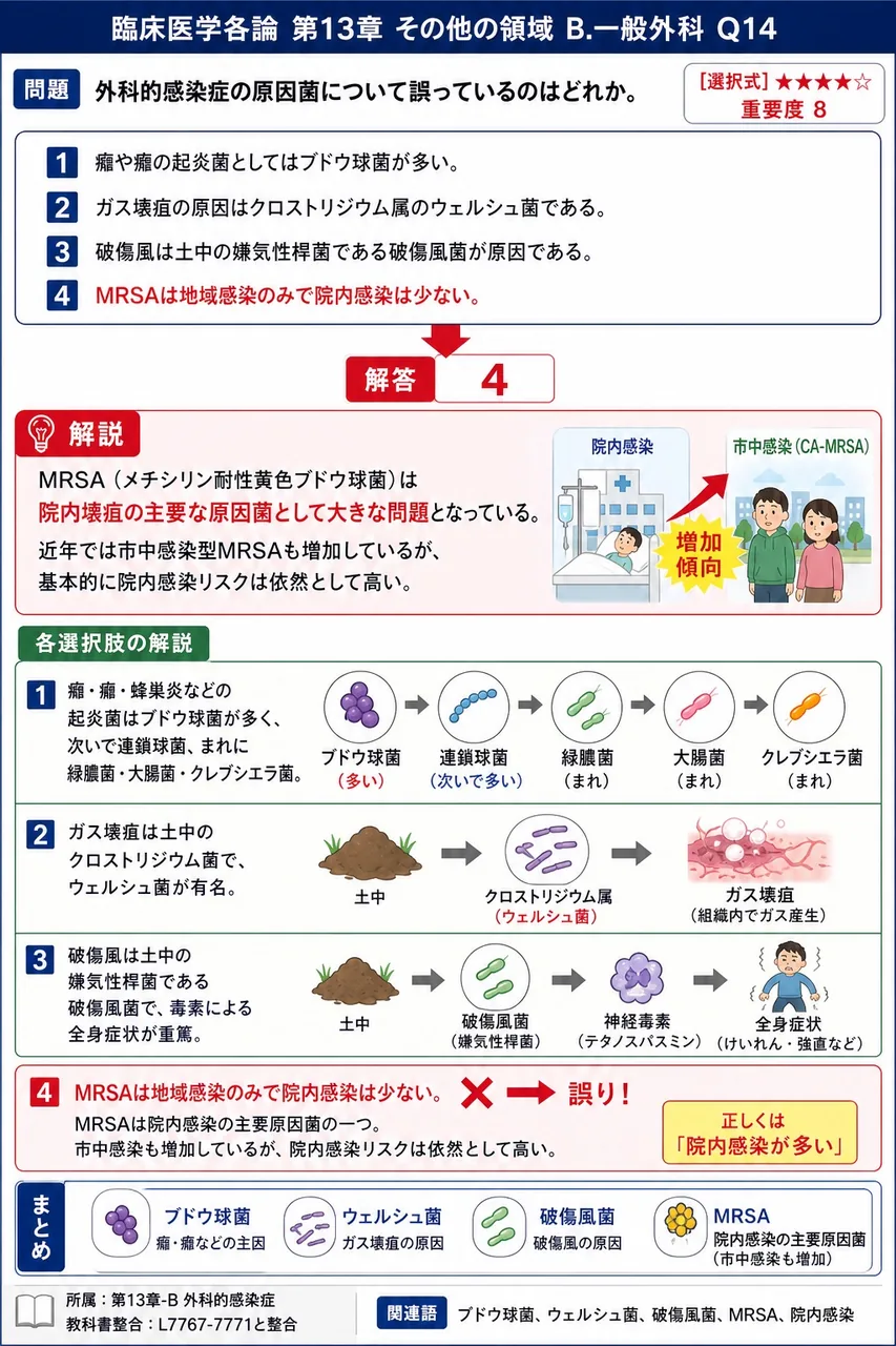 外科的感染症の原因菌について誤っているのはどれか。 解説図