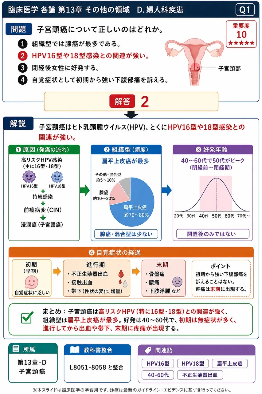 子宮頸癌について正しいのはどれか。 解説図