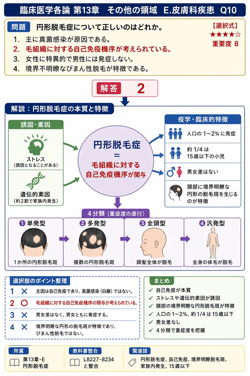 円形脱毛症について正しいのはどれか。 解説図
