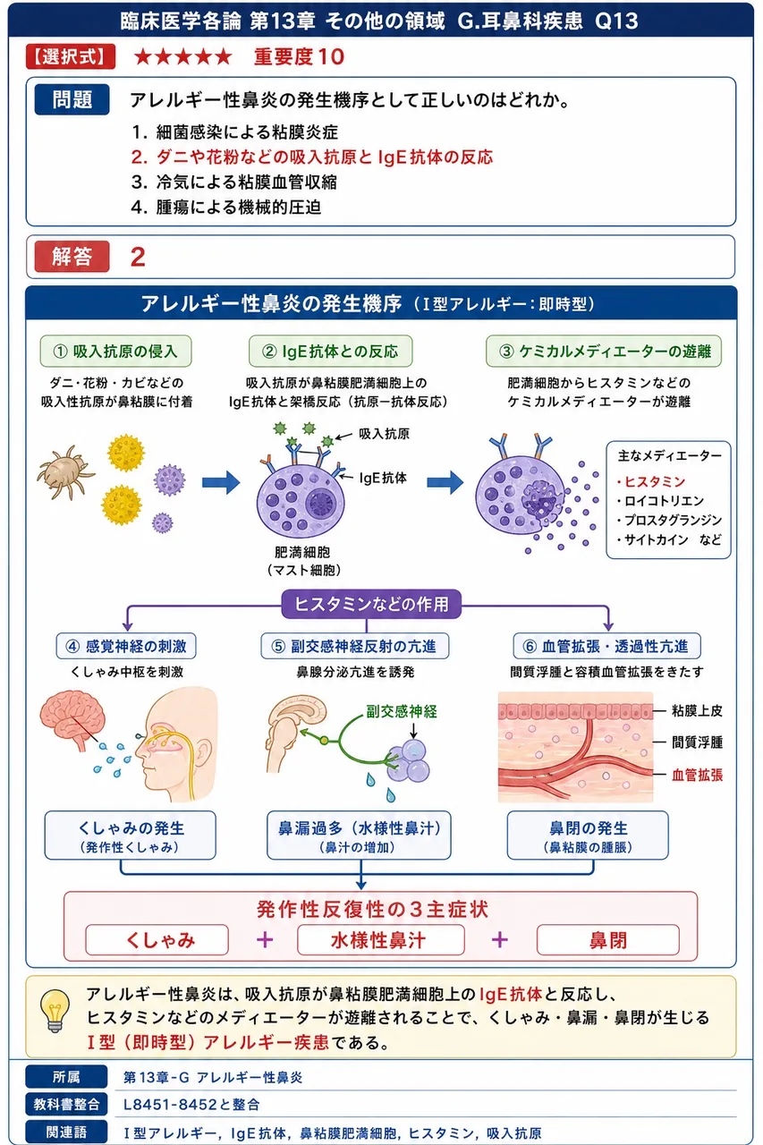 アレルギー性鼻炎の発生機序として正しいのはどれか。 解説図