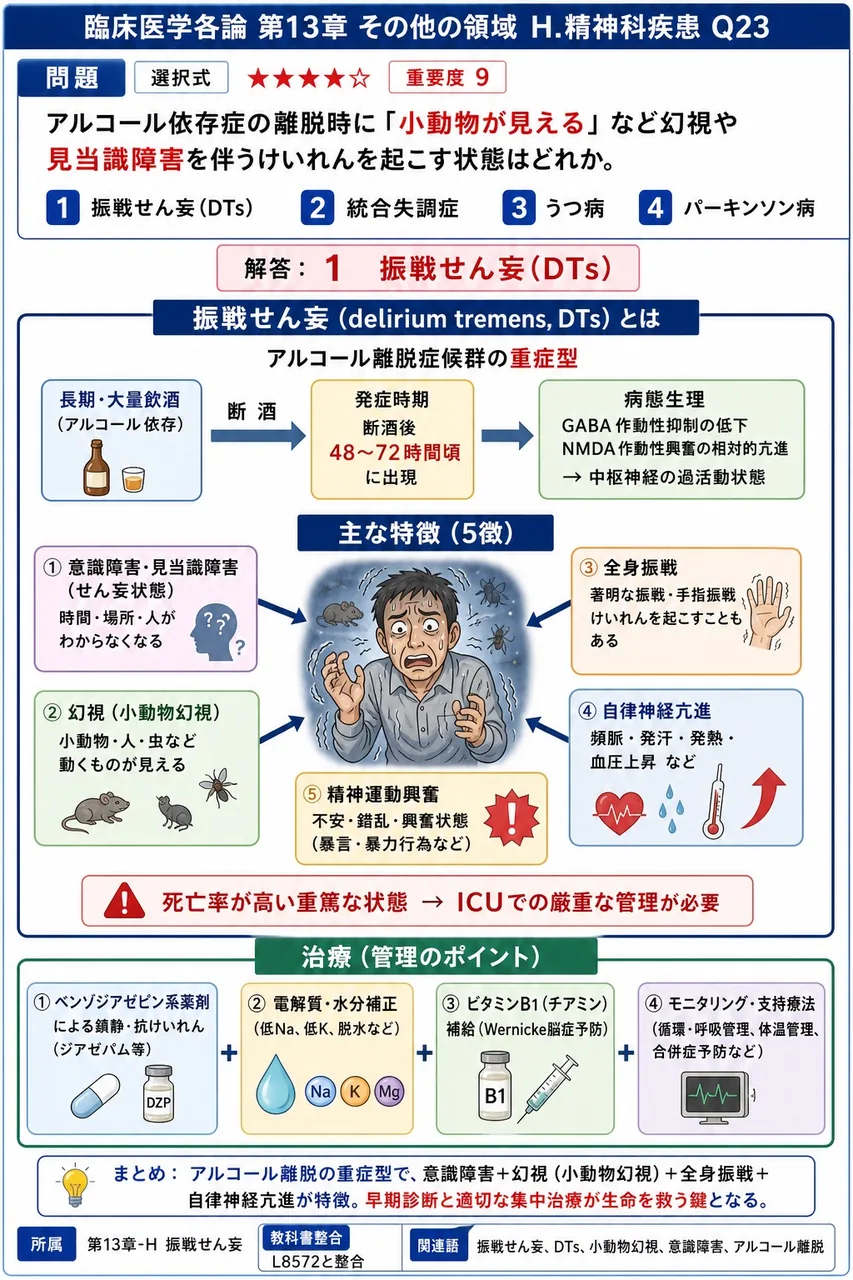 アルコール依存症の離脱時に「小動物が見える」など幻視や見当識障害を伴うけいれんを起こす状態はどれか。 解説図
