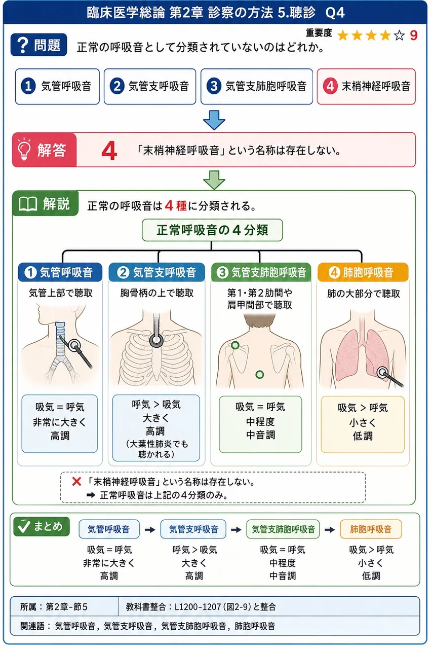 正常の呼吸音として分類されていないのはどれか。 解説図
