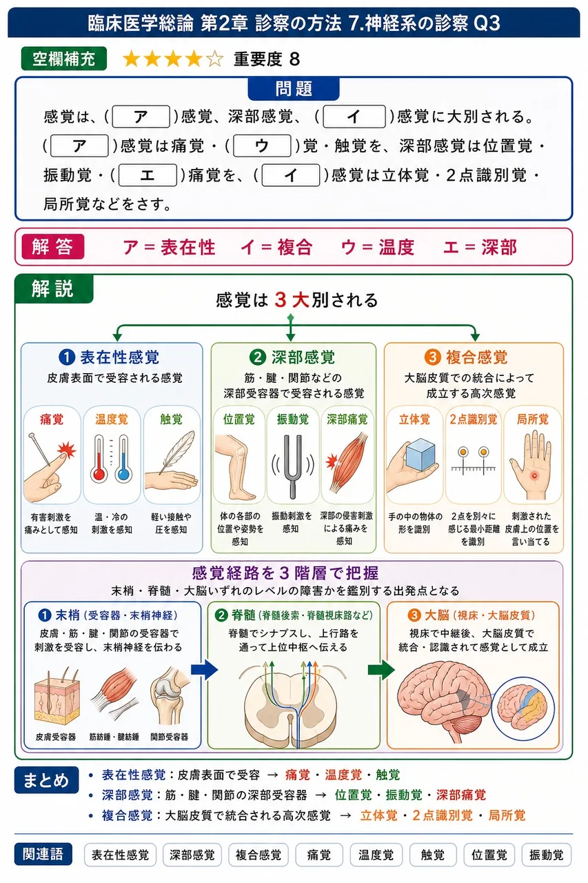次の空欄を埋めよ。 「感覚は、( ア )感覚、深部感覚、( イ )感覚に大別される。( ア )感覚は痛覚・( ウ )覚・触覚を、深部感覚は位置覚・振動覚・( エ )痛覚を、( イ )感覚は立体覚・2点識別覚・局所覚などをさす。」 解説図
