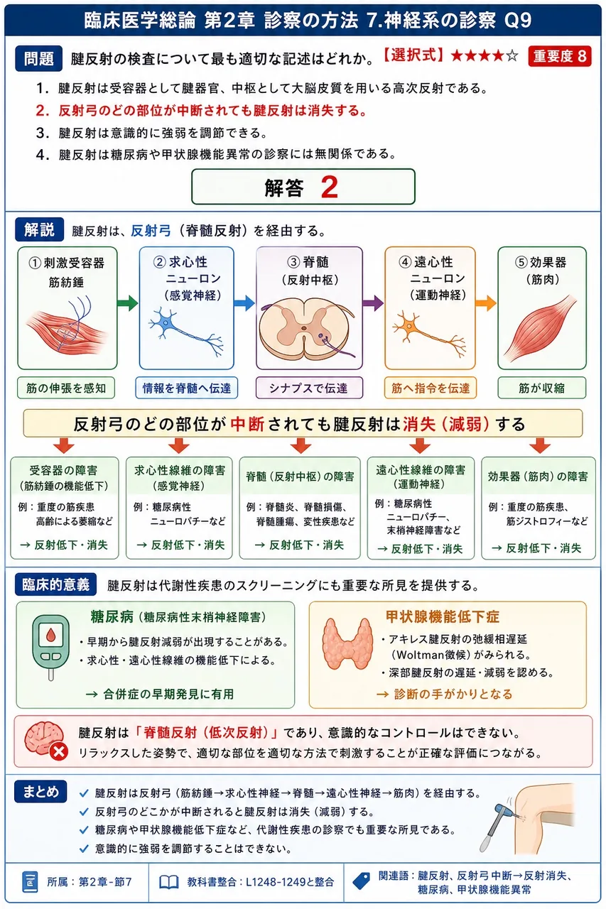 腱反射の検査について最も適切な記述はどれか。 解説図