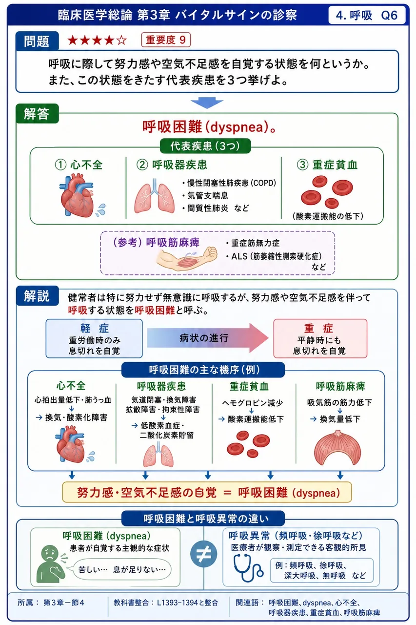 呼吸に際して努力感や空気不足感を自覚する状態を何というか。また、この状態をきたす代表疾患を3つ挙げよ。 解説図