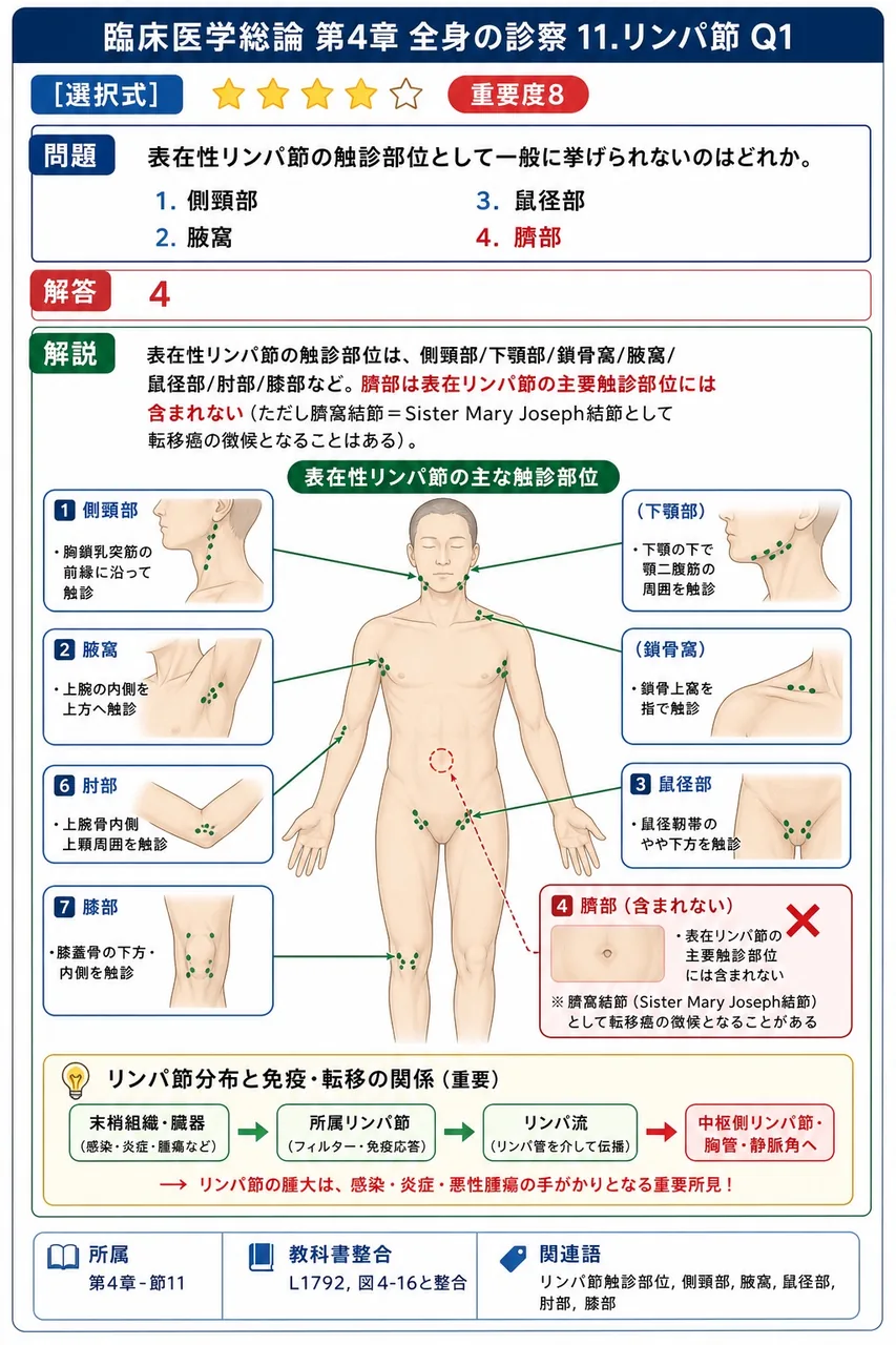 表在性リンパ節の触診部位として一般に挙げられないのはどれか。 解説図