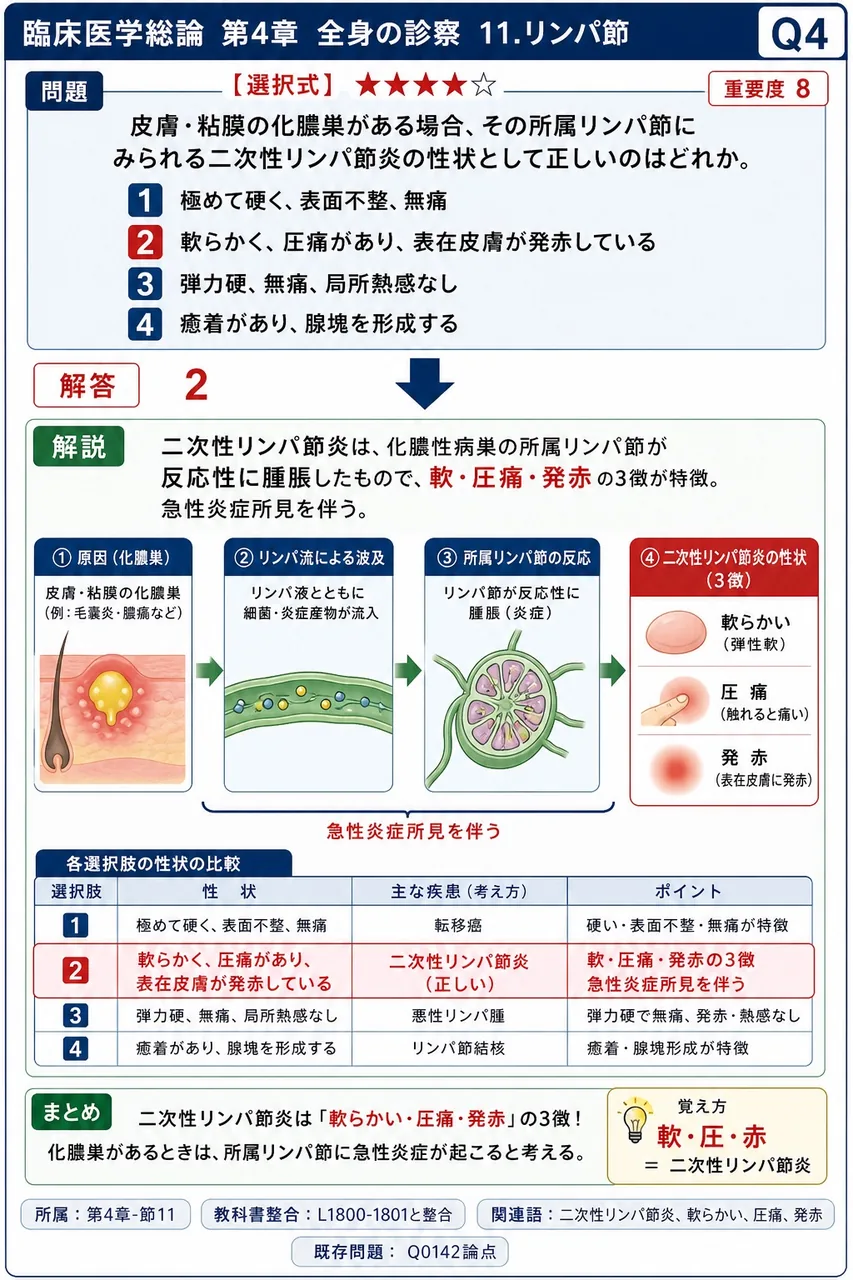 皮膚・粘膜の化膿巣がある場合、その所属リンパ節にみられる二次性リンパ節炎の性状として正しいのはどれか。 解説図