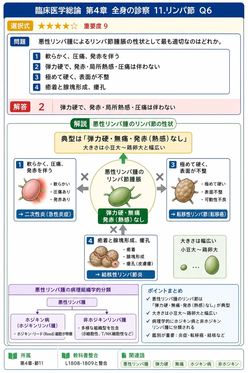 悪性リンパ腫によるリンパ節腫脹の性状として最も適切なのはどれか。 解説図