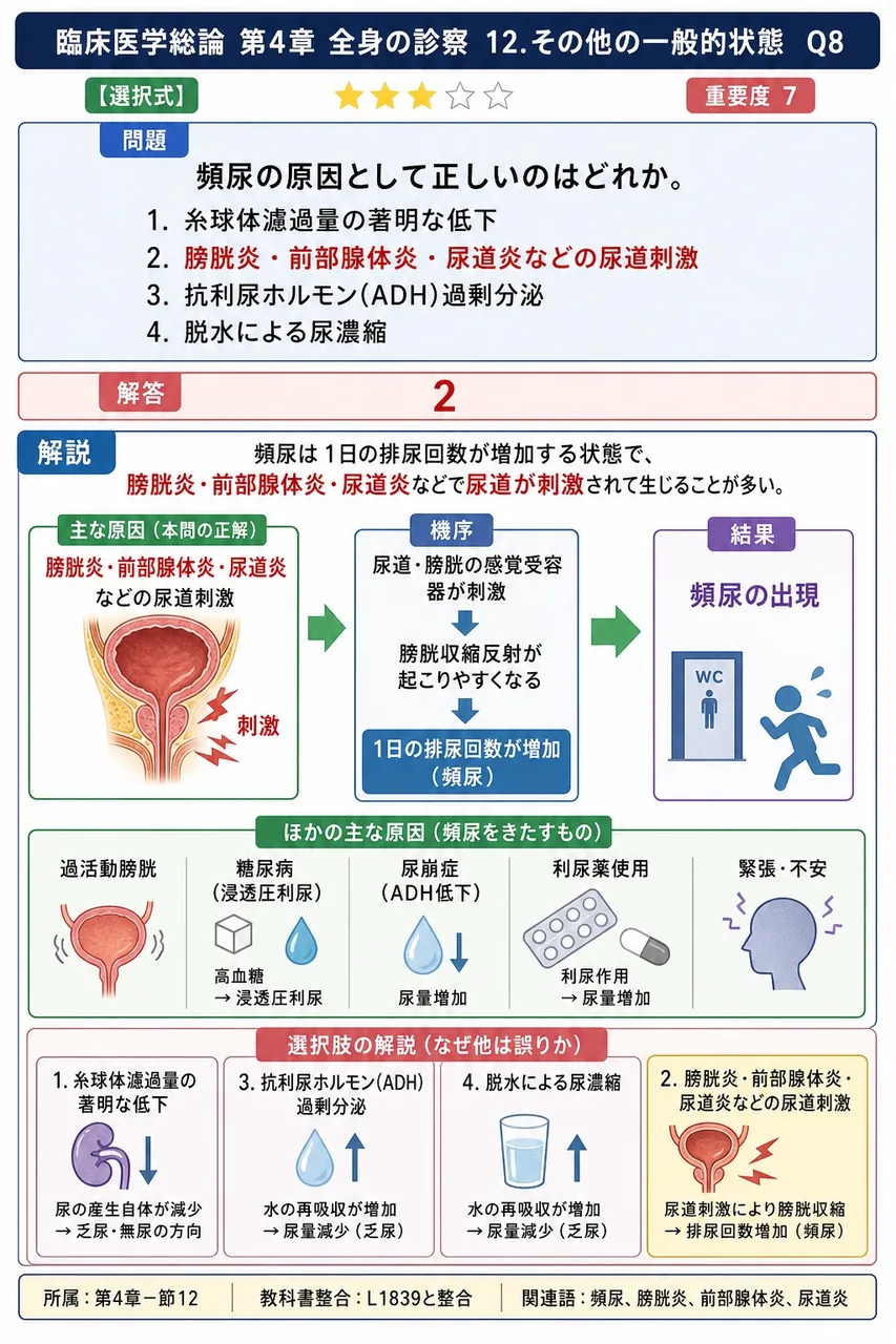 頻尿の原因として正しいのはどれか。 解説図