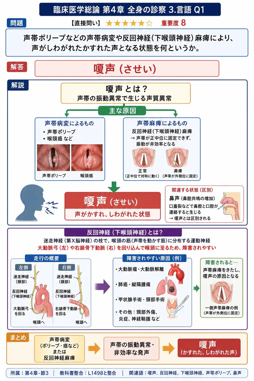声帯ポリープなどの声帯病変や反回神経(下喉頭神経)麻痺により、声がしわがれたかすれた声となる状態を何というか。 解説図