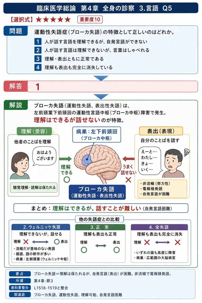 運動性失語症(ブローカ失語)の特徴として正しいのはどれか。 解説図