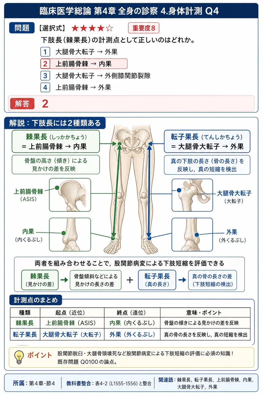 下肢長(棘果長)の計測点として正しいのはどれか。 解説図