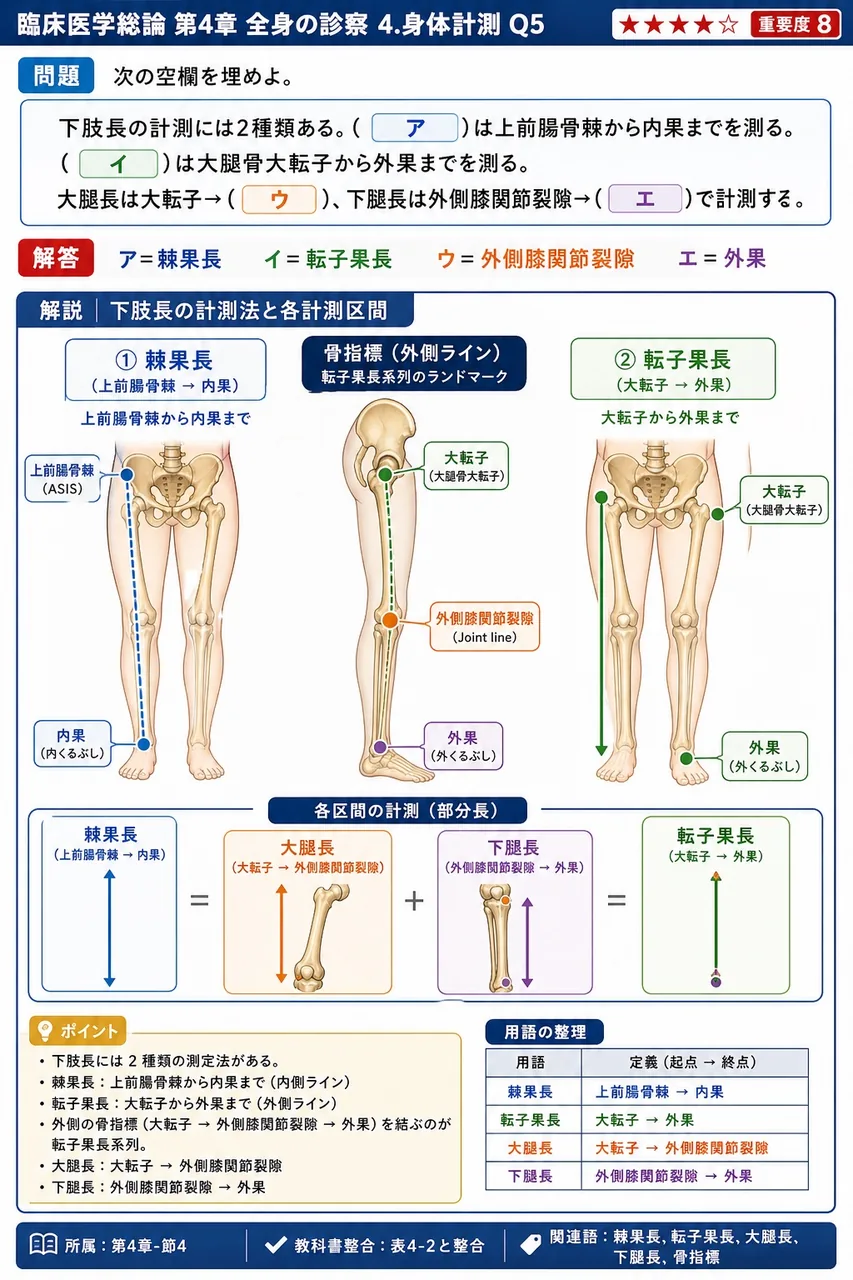 次の空欄を埋めよ。 「下肢長の計測には2種類ある。( ア )は**上前腸骨棘から内果**までを測る。( イ )は**大腿骨大転子から外果**までを測る。大腿長は大転子→( ウ )、下腿長は外側膝関節裂隙→( エ )で計測する。」 解説図