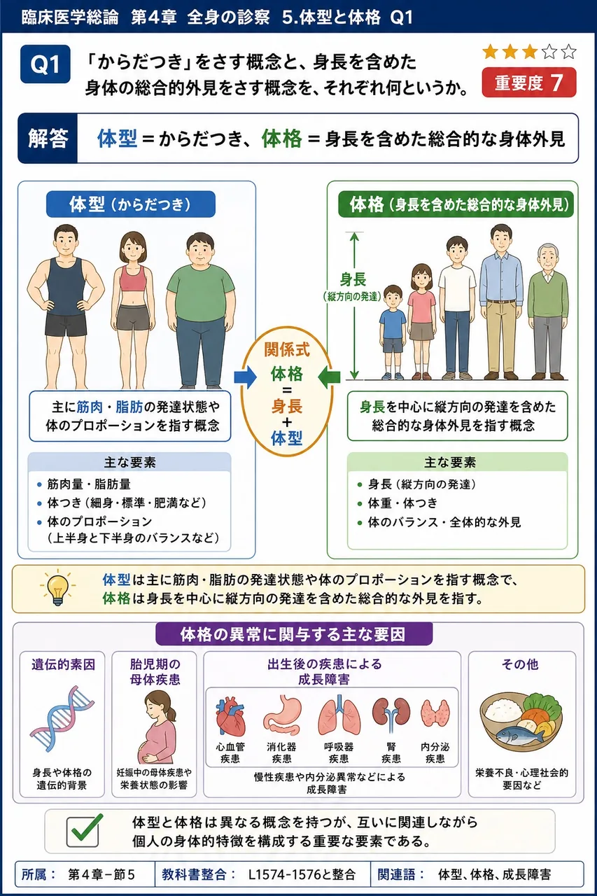 「からだつき」をさす概念と、身長を含めた身体の総合的外見をさす概念を、それぞれ何というか。 解説図