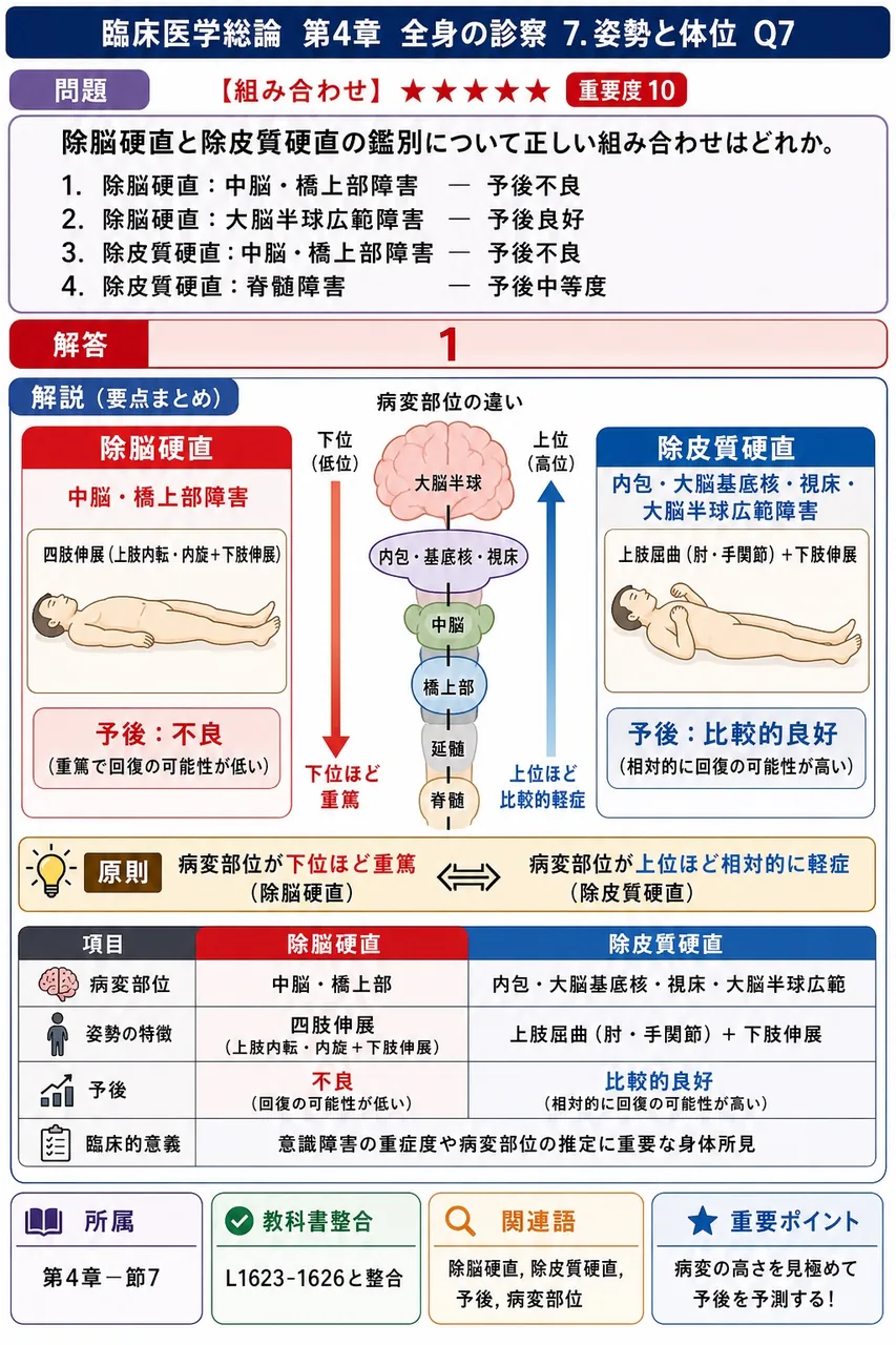 除脳硬直と除皮質硬直の鑑別について正しい組み合わせはどれか。 解説図