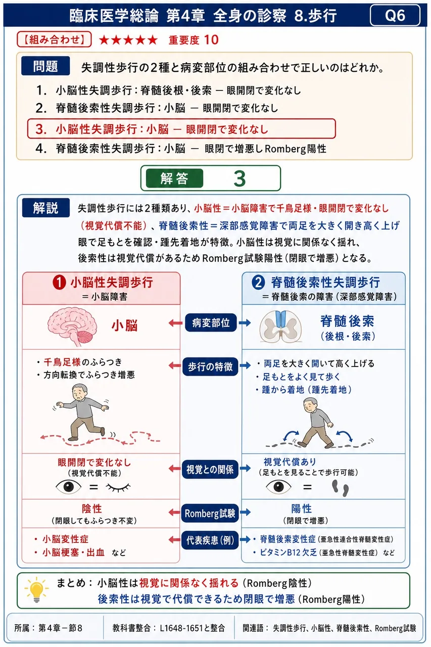 失調性歩行の2種と病変部位の組み合わせで正しいのはどれか。 解説図