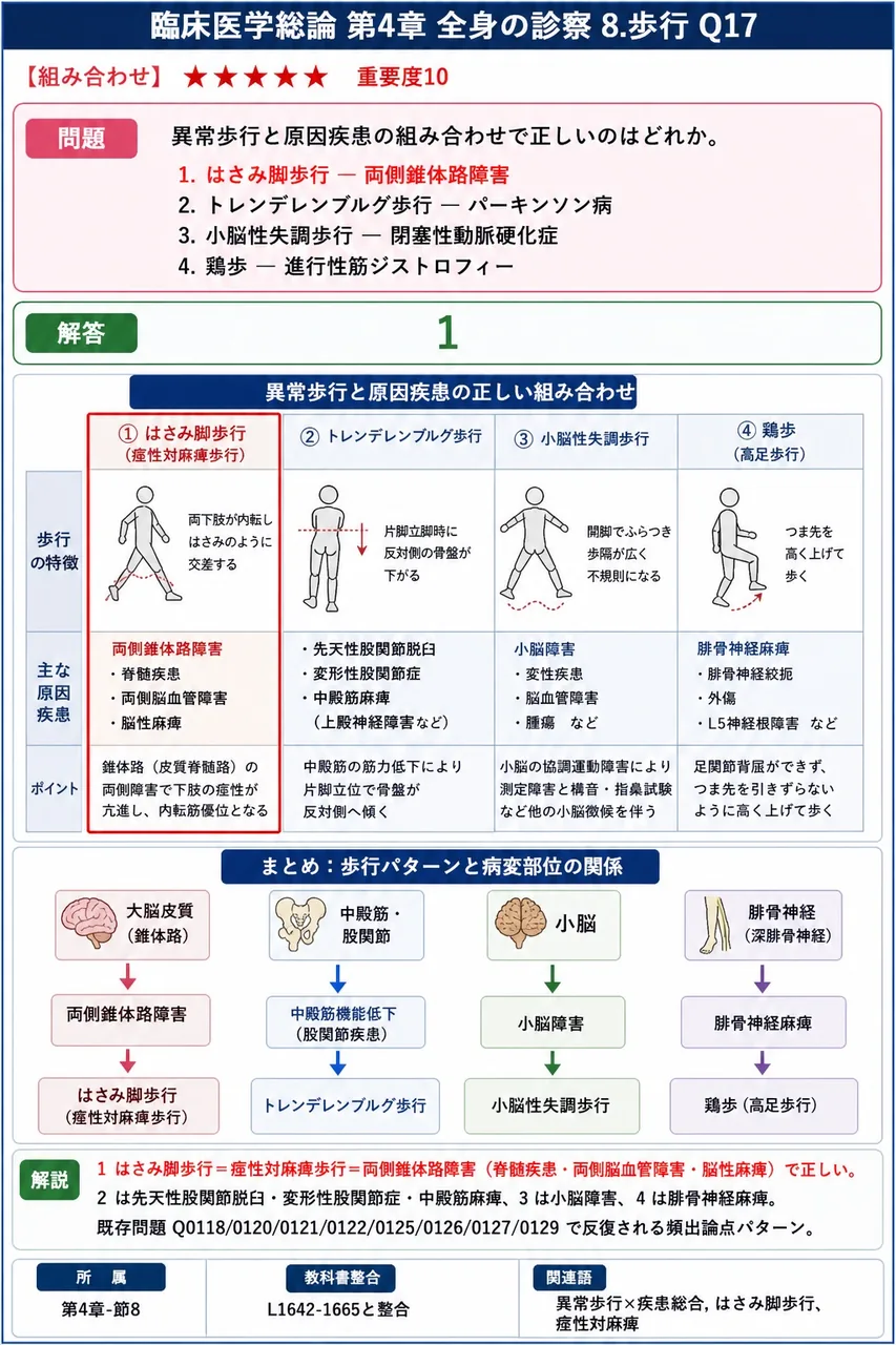 異常歩行と原因疾患の組み合わせで正しいのはどれか。 解説図