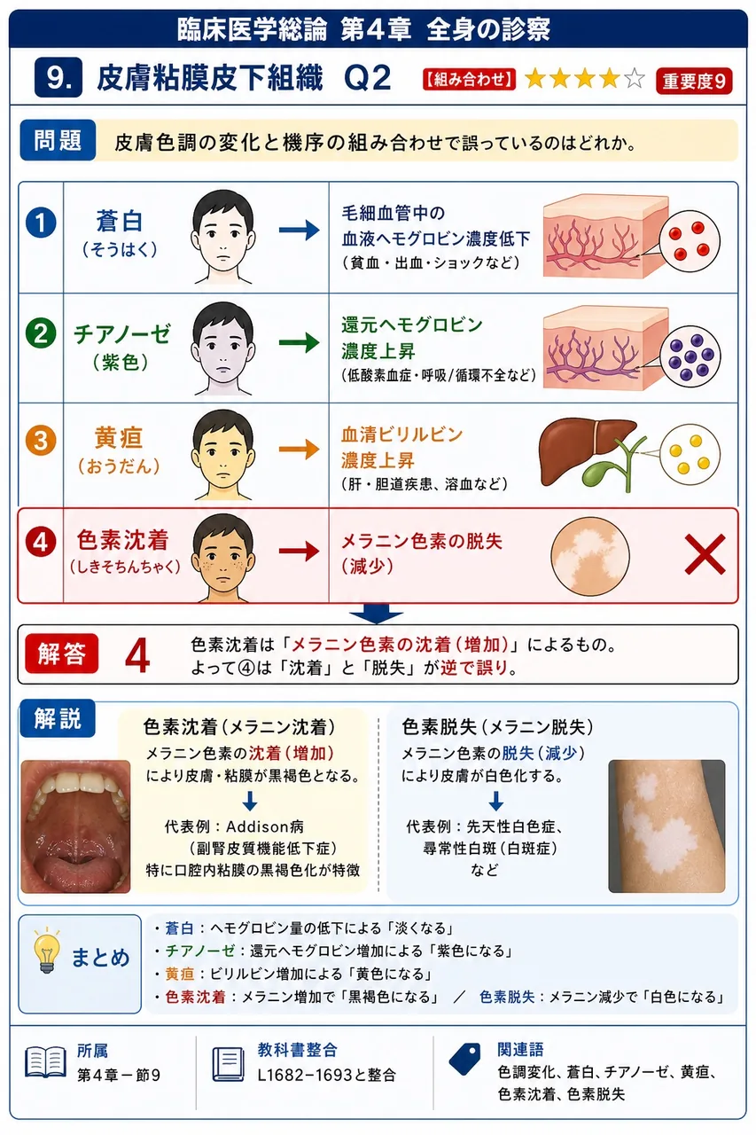 皮膚色調の変化と機序の組み合わせで誤っているのはどれか。 解説図