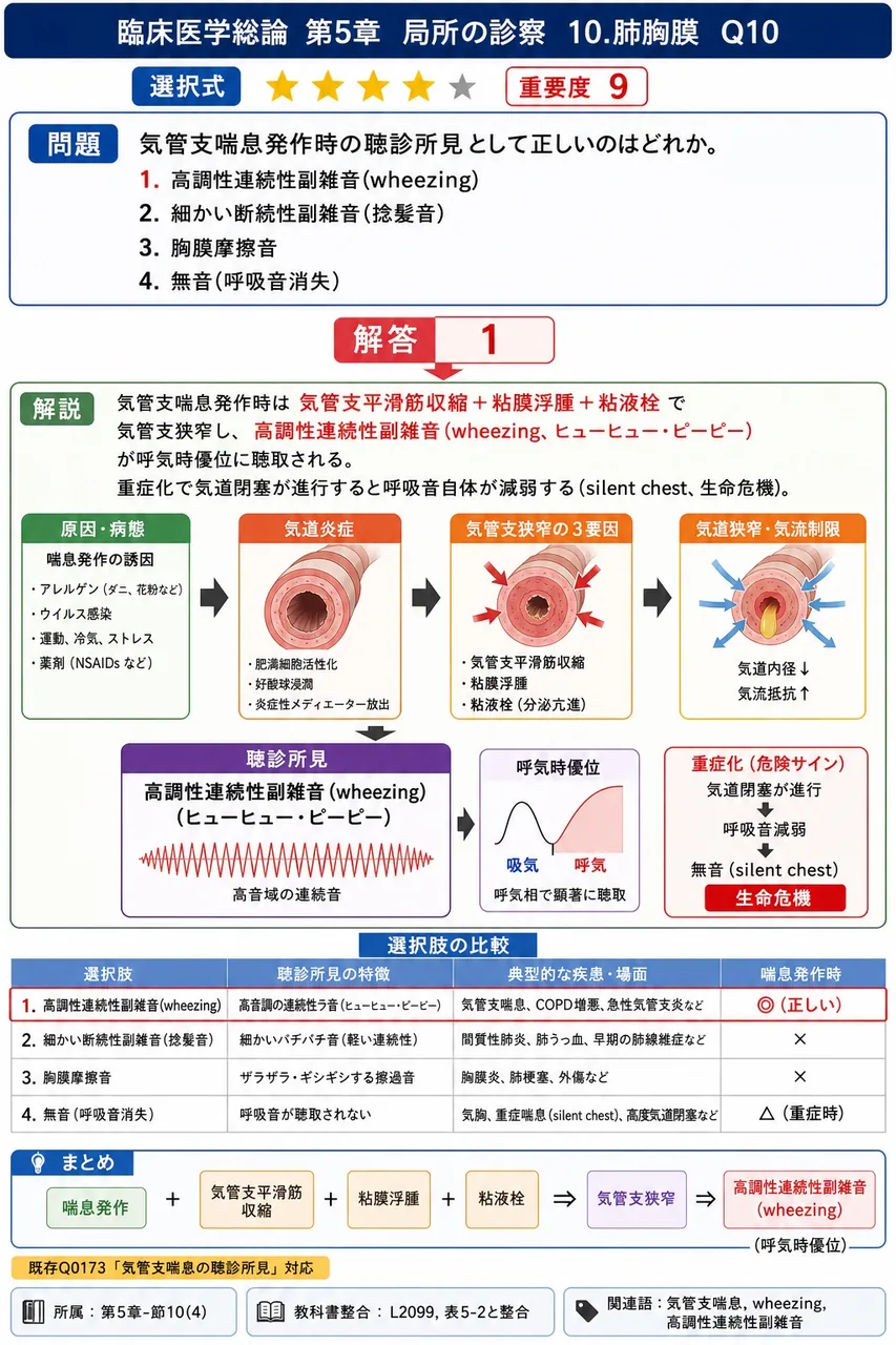 気管支喘息発作時の聴診所見として正しいのはどれか。 解説図
