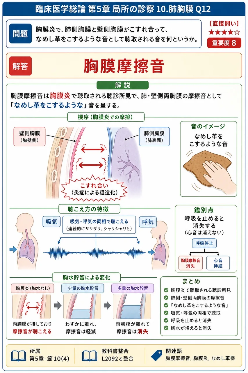 胸膜炎で、肺側胸膜と壁側胸膜がこすれ合って、なめし革をこするような音として聴取される音を何というか。 解説図