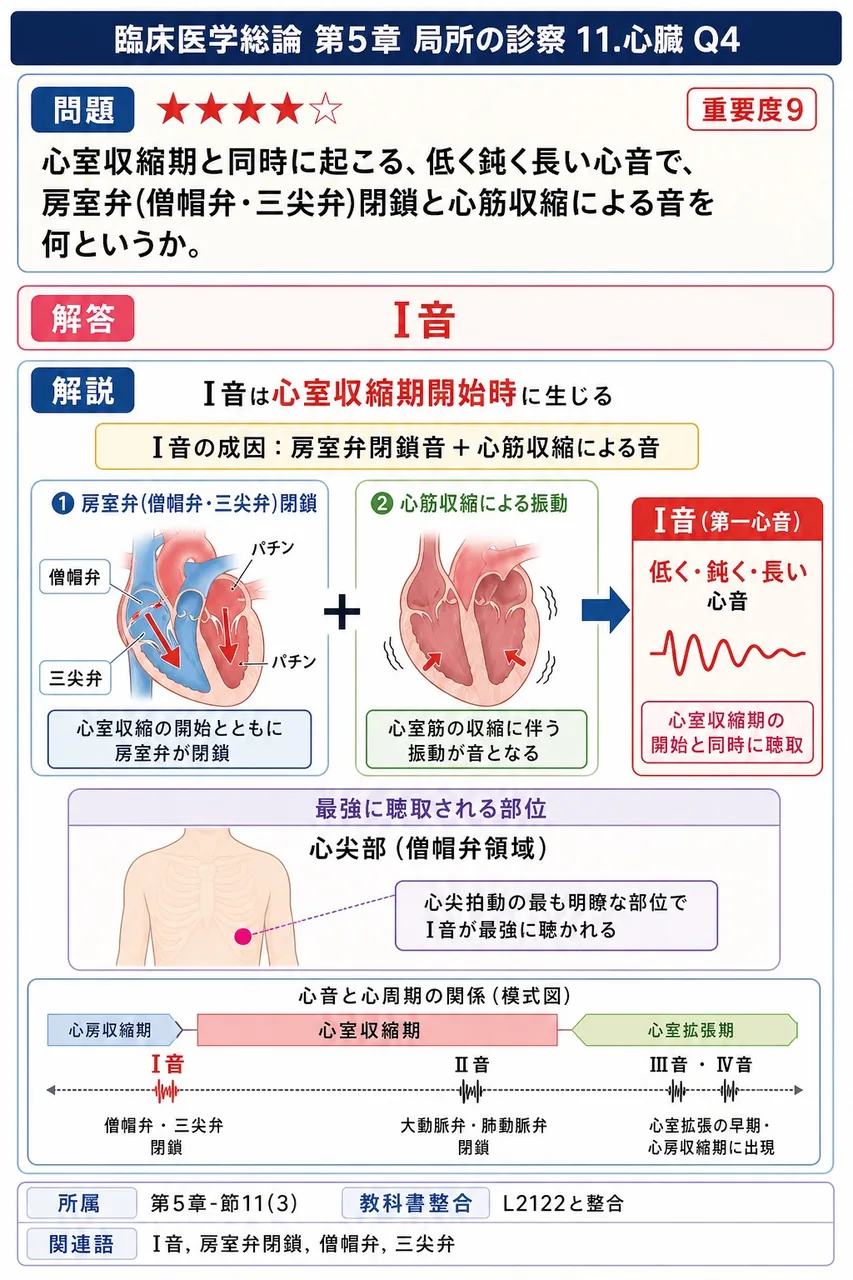心室収縮期と同時に起こる、低く鈍く長い心音で、房室弁(僧帽弁・三尖弁)閉鎖と心筋収縮による音を何というか。 解説図