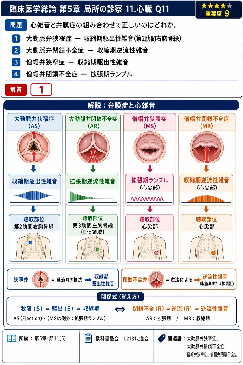 心雑音と弁膜症の組み合わせで正しいのはどれか。 解説図
