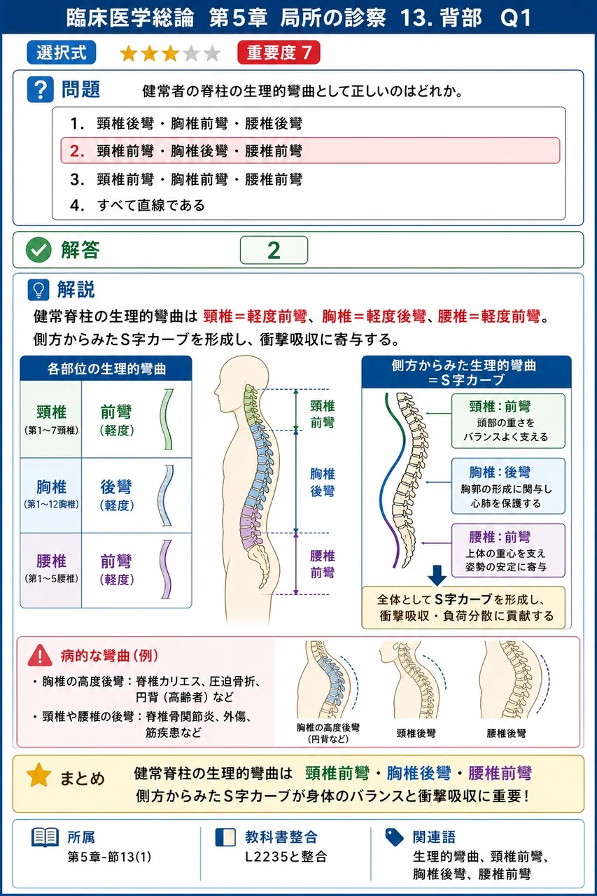 健常者の脊柱の生理的彎曲として正しいのはどれか。 解説図