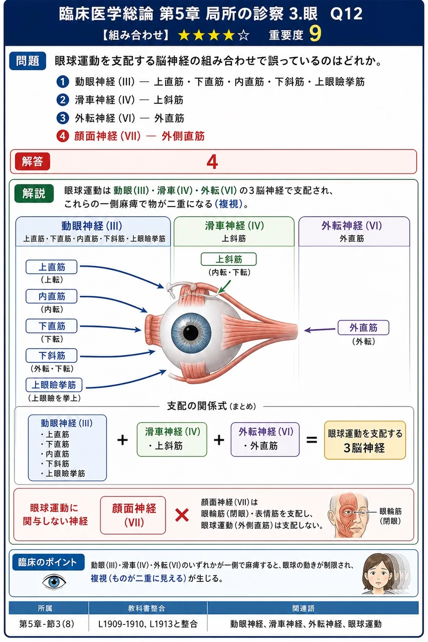 眼球運動を支配する脳神経の組み合わせで誤っているのはどれか。 解説図