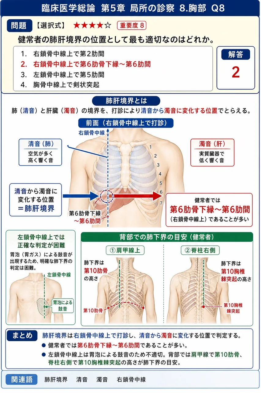 健常者の肺肝境界の位置として最も適切なのはどれか。 解説図