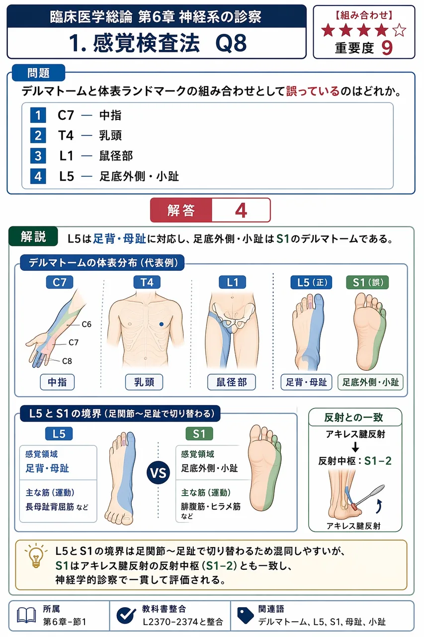 デルマトームと体表ランドマークの組み合わせとして誤っているのはどれか。 解説図