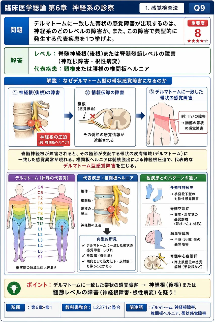 デルマトームに一致した帯状の感覚障害が出現するのは、神経系のどのレベルの障害か。また、この障害で典型的に発生する代表疾患を1つ挙げよ。 解説図