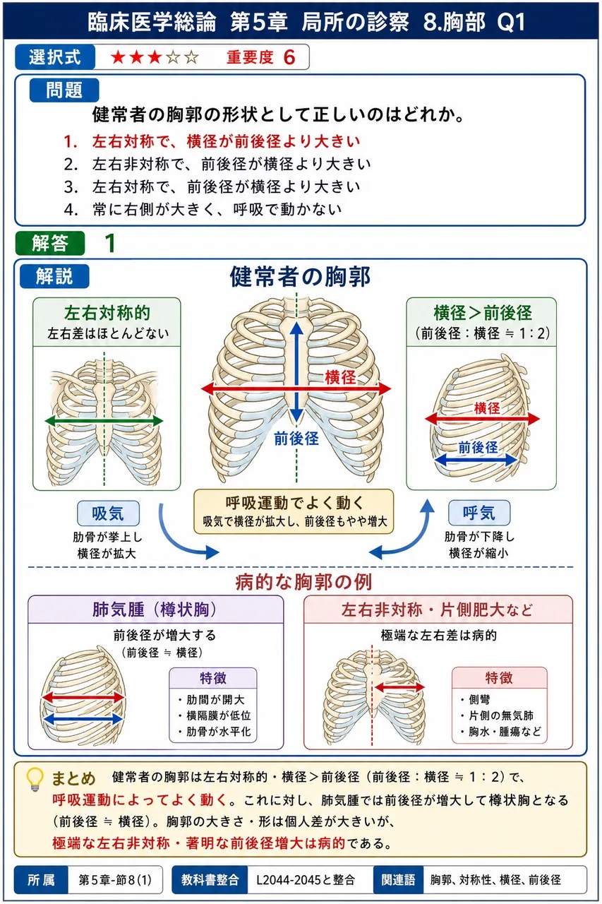 脊髄中心管周辺の灰白質が障害されることで特徴的に生じる感覚障害はどれか。 解説図