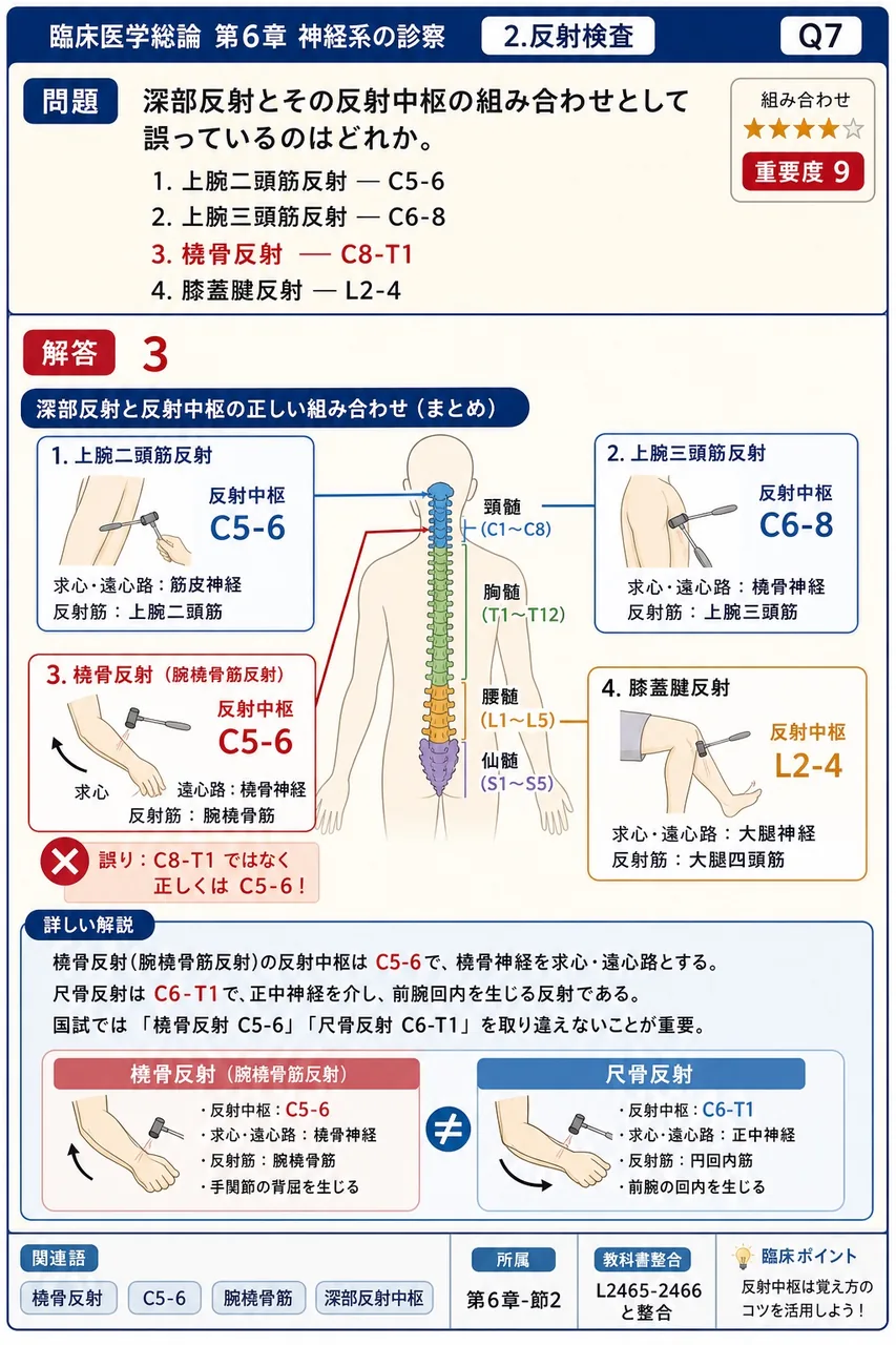 深部反射とその反射中枢の組み合わせとして誤っているのはどれか。 解説図