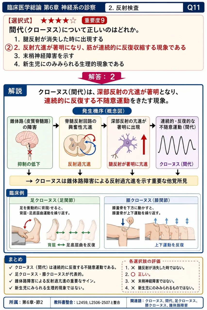 間代(クローヌス)について正しいのはどれか。 解説図