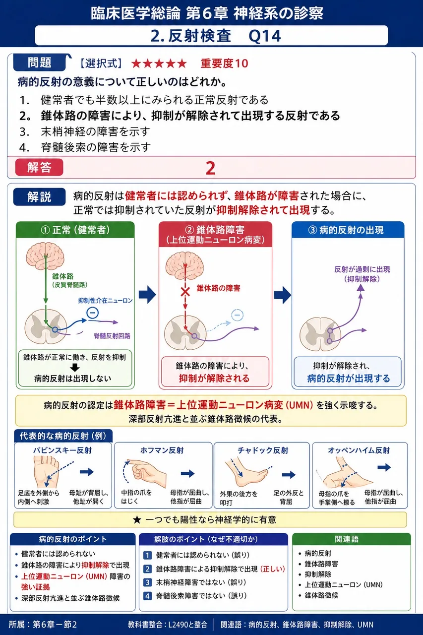 病的反射の意義について正しいのはどれか。 解説図