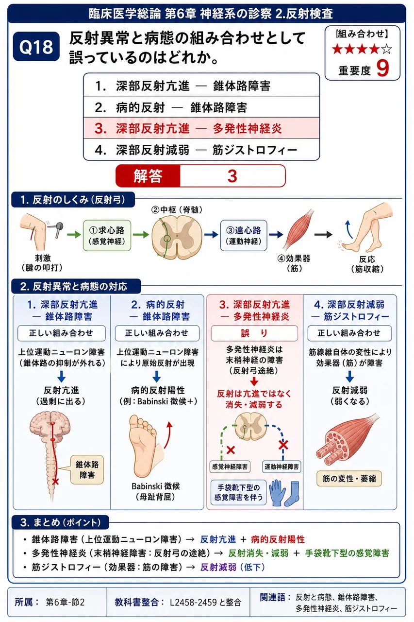反射異常と病態の組み合わせとして誤っているのはどれか。 解説図