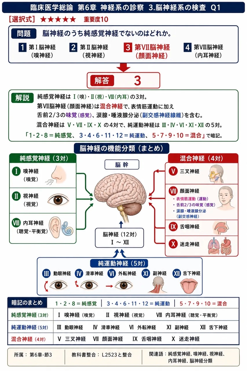 脳神経のうち純感覚神経でないのはどれか。 解説図