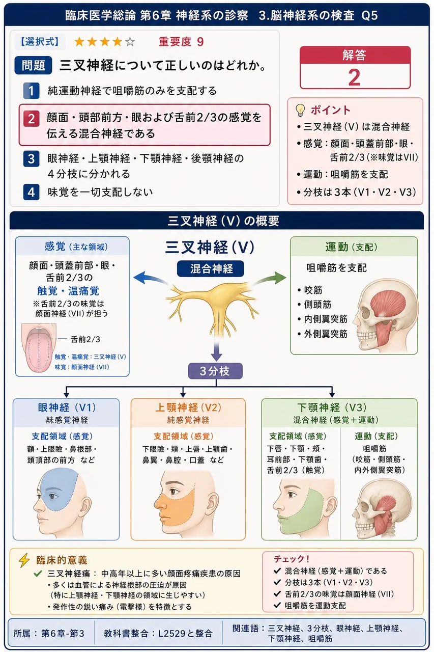 三叉神経について正しいのはどれか。 解説図