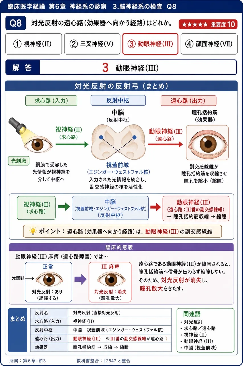 対光反射の遠心路(効果器へ向かう経路)はどれか。 解説図