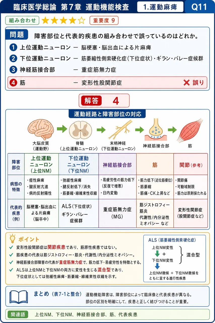 障害部位と代表的疾患の組み合わせで誤っているのはどれか。 解説図