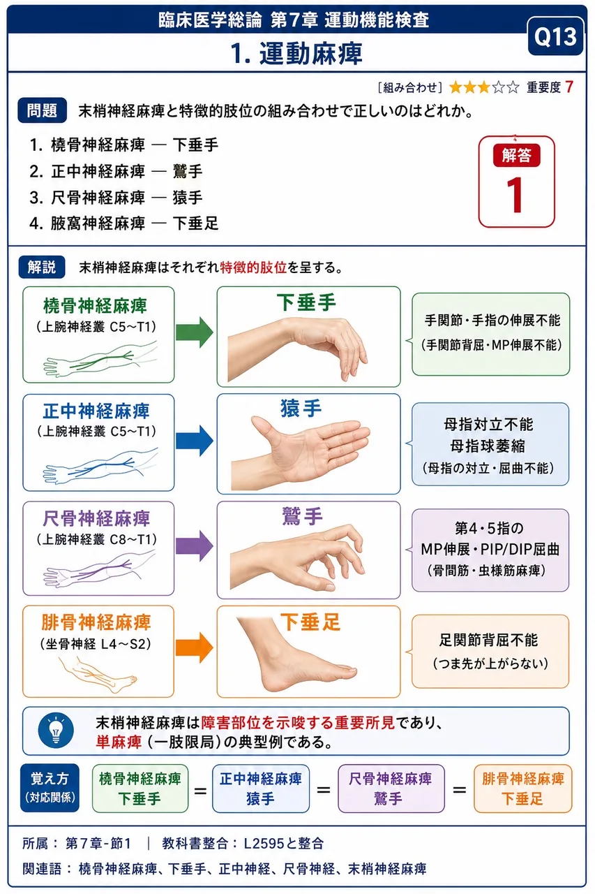 末梢神経麻痺と特徴的肢位の組み合わせで正しいのはどれか。 解説図