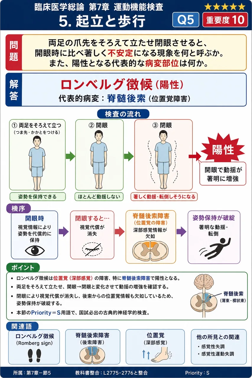 両足の爪先をそろえて立たせ閉眼させると、開眼時に比べ著しく不安定になる現象を何と呼ぶか。また、陽性となる代表的な病変部位は何か。 解説図
