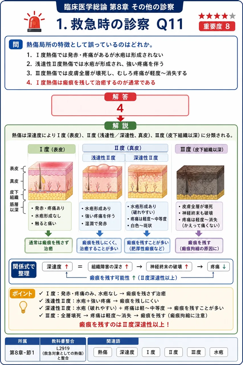 熱傷局所の特徴として誤っているのはどれか。 解説図