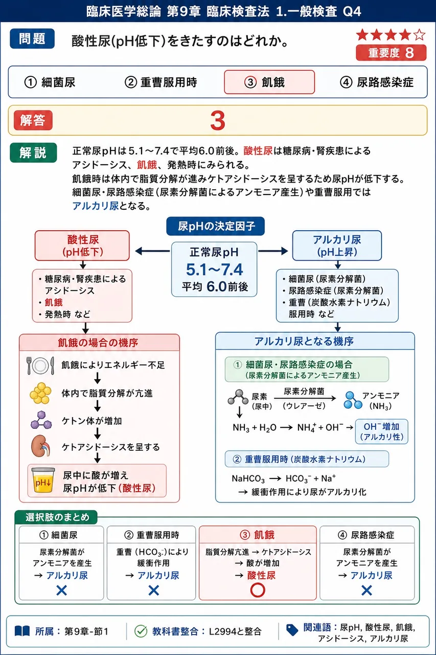 酸性尿(pH低下)をきたすのはどれか。 解説図